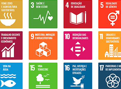 Parceria com PNUD (ONU)